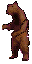 bear.base.x72.png
